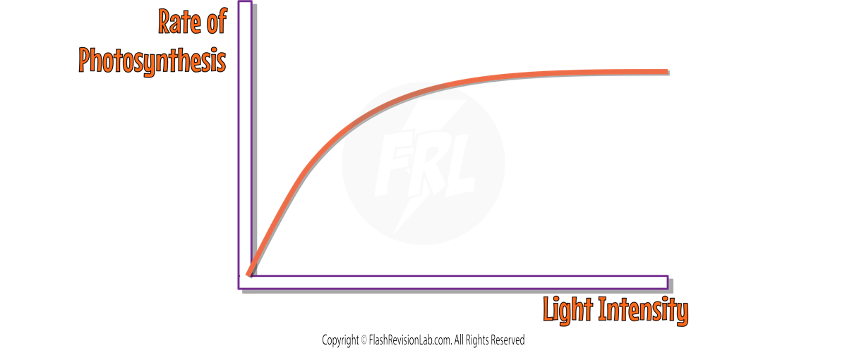 Light Intensity